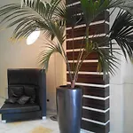 Hotel Papillo & Rome