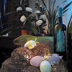 Hotel Papillo &